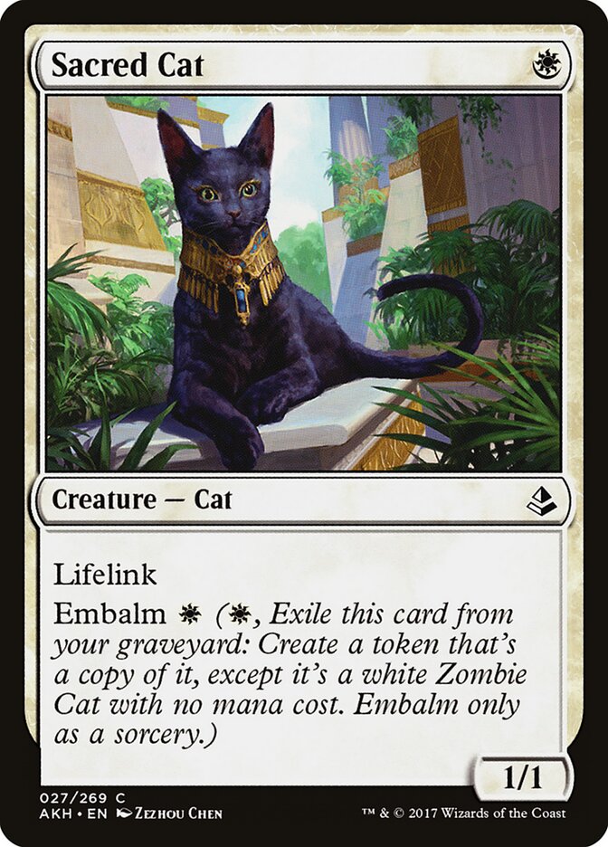 Sacred Cat — Amonkhet #27