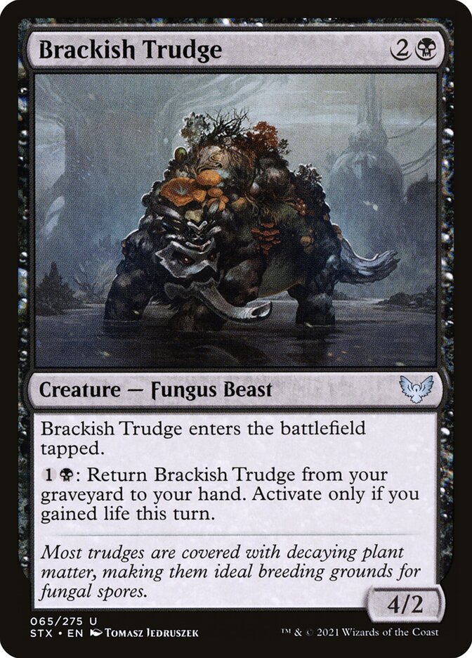 Pantanoso salobre | Brackish Trudge - Strixhaven: School of Mages #65
