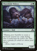 Thornhide Wolves — Shadows over Innistrad #232